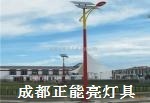 四川藏式太陽(yáng)能路燈廠家