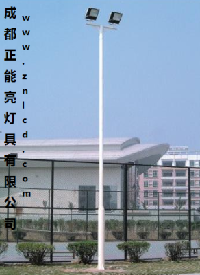 成都中桿燈廠家