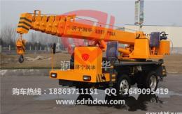 供应微型吊车www.sdrhdcw.com