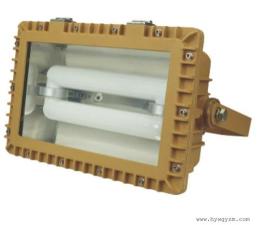 SBD1109免维护节能防爆泛光灯