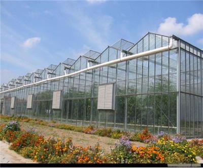 玻璃温室 连栋温室 生态餐厅 日光温室