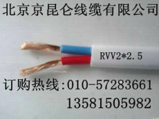 厂家直销 ZR-RVV10*0.75