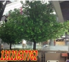 北京仿真大型玻璃钢树定做供应榕树厂家