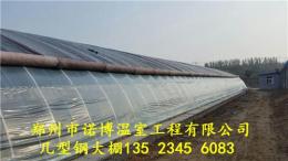 建一个日光温室大棚一亩地需要多少钱郑州诺