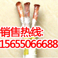 安徽天长耐寒电缆最新价格 -40度耐寒电缆