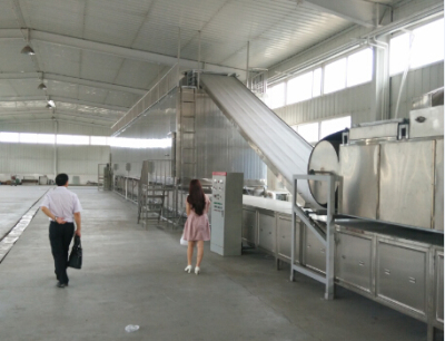 大型無明礬粉條機(jī)