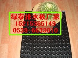 2公分嘉峪關(guān)地下室排水板隴南車庫(kù)排水板