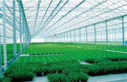温室蔬菜增产