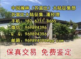 鸡血石去哪家公司鉴定