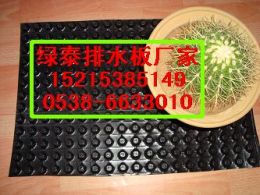 洛陽(yáng) 1.6公分地下室排水板南陽(yáng)車庫(kù)排水板