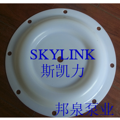 斯凯力SKYLINK隔膜泵四氟隔膜片