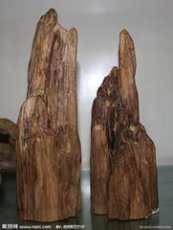 廣州沉香鑒定拍賣中心