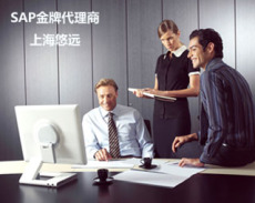 用SAP ERP系统首选上海悠远SAP咨询公司