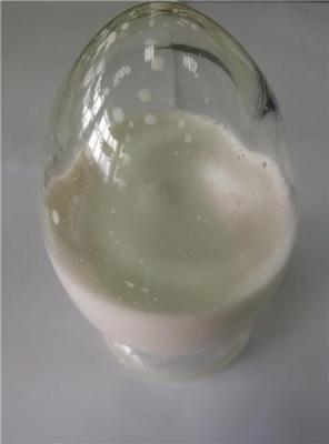 水性硝化纤维 WNC 乳液