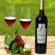 Watts wines红酒批发