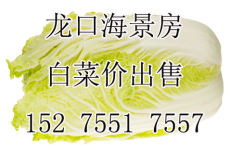 龙口东海房屋中介二手房交易销售成主力军
