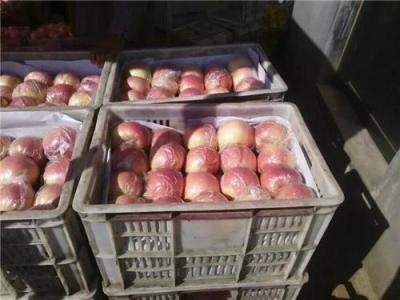 陜西蘋果批發(fā)/膜袋紙袋紅富士蘋果價(jià)格走勢(shì)