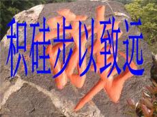 嵊州油煙清洗公司