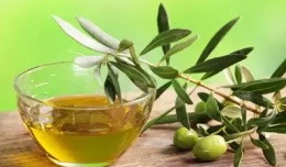 优质特级初榨橄榄油 澳丽欧 正品保障