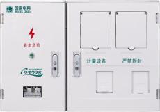 新国网电表箱单相2表 KG-PX-201D 厂家