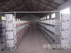 肉鸡笼养鸡舍环境控制与种鸡生产